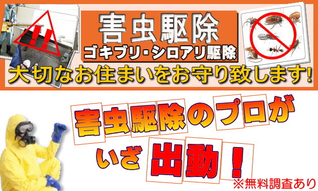 �_�j�E�S�L�u���E�V���A���쏜�����c���E���؁E�`��Ȃǂōs���Ă���܂��B