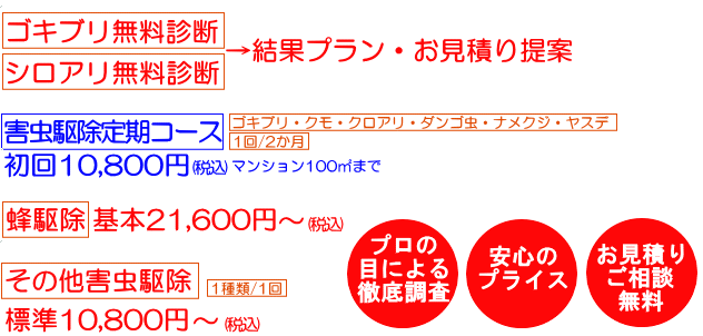 �����p�����ɂ���